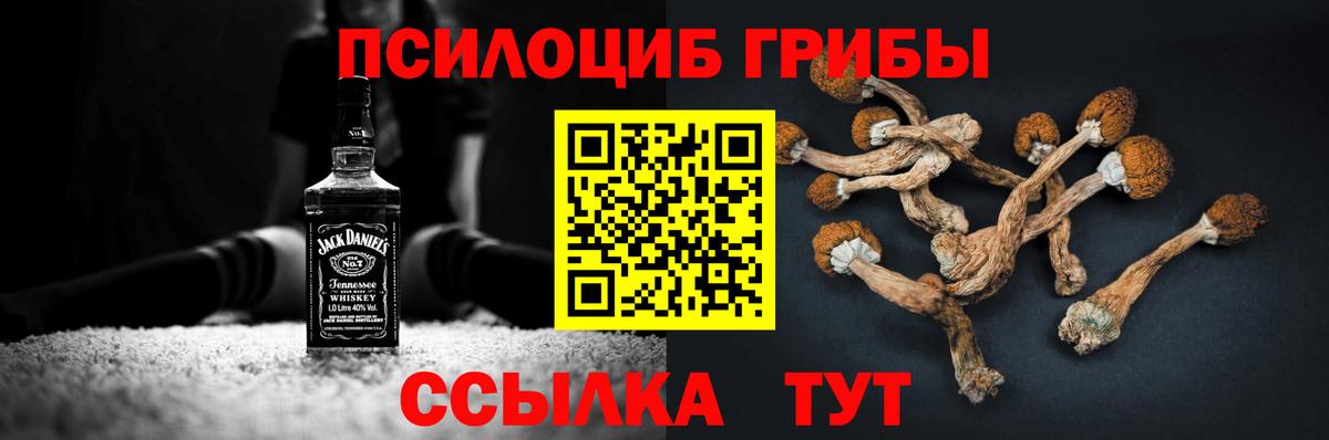 Псилоцибиновые грибы GOLDEN TEACHER  Псилоцибиновые грибы GOLDEN TEACHER  Вход с VPN  Ухта 
