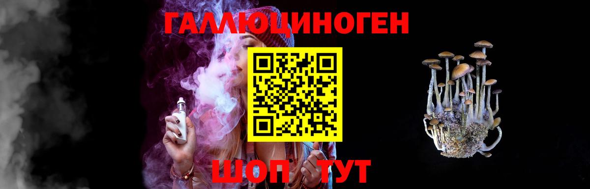 Псилоцибиновые грибы Psilocybine cubensis Ухта