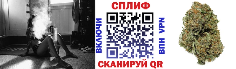 Канабис сатива  Ухта 